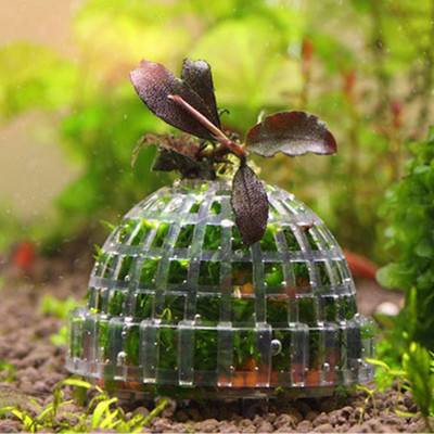 Φίλτρο 1 τεμαχίου ενυδρείου βρύα μπάλας DIY Διαφανές θήκη φυτών εξωραϊσμού Fish Tank Moss Ball Live Plant Filter Διακόσμηση σπιτιού