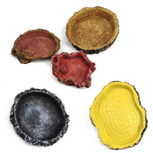 Vaigu akvaariumi lemmikloomade roomajate söötmiskauss, toidunõu, veepott roomaja kilpkonn, skorpion, sisalik krabid, tarvikud 10 cm