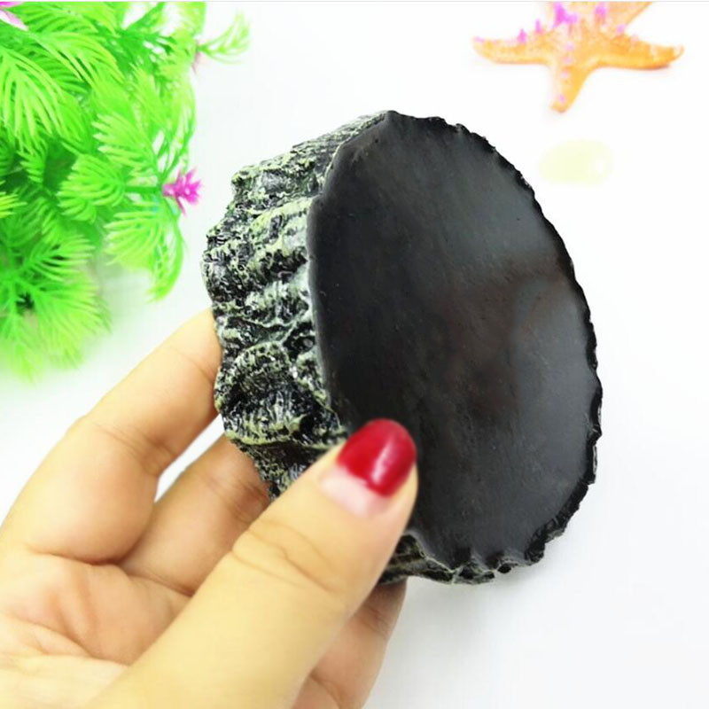 Vaigu akvaariumi lemmikloomade roomajate söötmiskauss, toidunõu, veepott roomaja kilpkonn, skorpion, sisalik krabid, tarvikud 10 cm