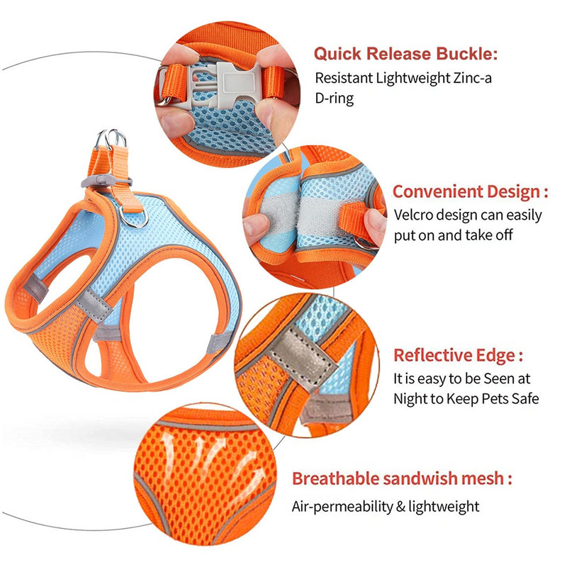 Комплект колан и каишка за котка за домашни любимци Найлонов дишащ колан Котешки комфорт Регулируем колан за коте Издръжливи аксесоари за котки