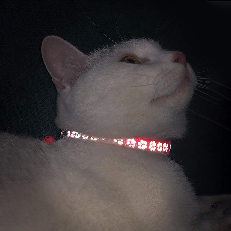 2 buc. zgarda reflectorizante colorate pentru pisici cu clopoțel zgarda solide și sigure pentru câini de talie mică, pisici, guler pentru animale de companie, accesorii pentru pisicuțe