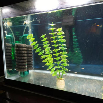 Νέο Bio Sponge Filter for Aquarium Fish Tank Shrimp Pond Air Pump Biochemical Filtration Αθόρυβο αφρό αξεσουάρ ενυδρείου