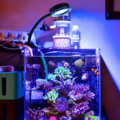 Akvárium LED lámpa Tengeri korall SPS LPS Akváriumi tengeri zátonytartály kék fehér kezdő 90v-240v 30-50 cm-es tengervíztartályhoz