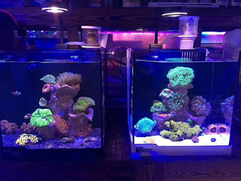 LED светлина за аквариум Marine coral SPS LPS Aquarium sea Reef Tank Blue White Beginner 90v-240v For 30-50 cm rezervoar за морска вода
