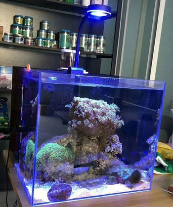 LED светлина за аквариум Marine coral SPS LPS Aquarium sea Reef Tank Blue White Beginner 90v-240v For 30-50 cm rezervoar за морска вода