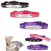 Κολλάρες γάτας από κόκκαλο ψαριού Περιδέραιο πόρπη ασφαλείας Ρυθμιζόμενο φθορισμό Προσωποποιημένη ταυτότητα Δωρεάν Χαρακτική με γράμματα κολιέ γατάκι