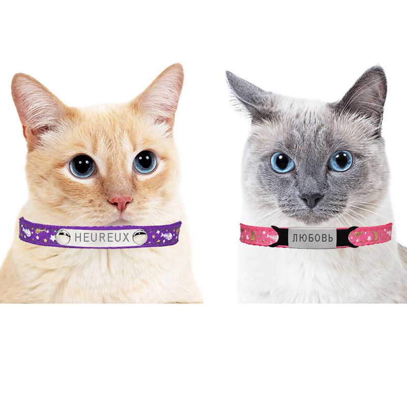 Κολλάρες γάτας από κόκκαλο ψαριού Περιδέραιο πόρπη ασφαλείας Ρυθμιζόμενο φθορισμό Προσωποποιημένη ταυτότητα Δωρεάν Χαρακτική με γράμματα κολιέ γατάκι