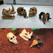 Ornamente pentru acvariu Decoratiune Rasina Rinocer Craniu cu coarne Forma cap de capra Rezervor de pesti Paianjen Scorpion Soparla Acvarii Adapost