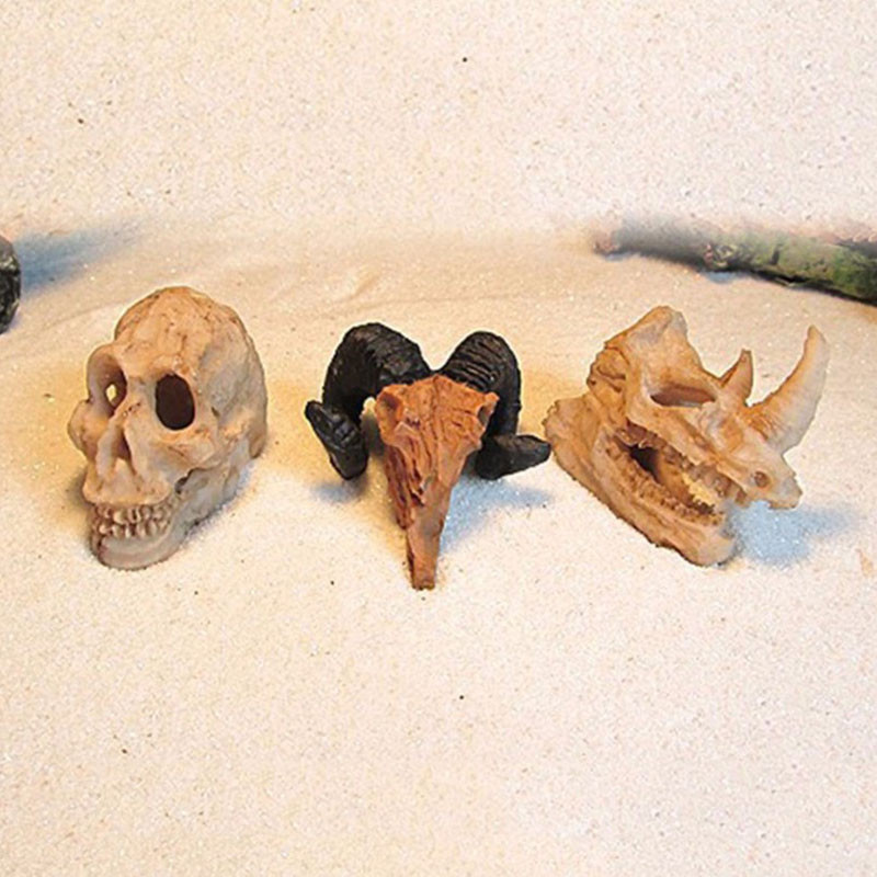 Ornamente pentru acvariu Decoratiune Rasina Rinocer Craniu cu coarne Forma cap de capra Rezervor de pesti Paianjen Scorpion Soparla Acvarii Adapost