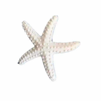 Προσομοίωση Ρητίνης Αστερίας Μεσογειακός Αστερίας Διακόσμηση Δεξαμενής Ψαριών Στολίδια Διακόσμηση Γιορτής Γάμου Ενυδρείο
