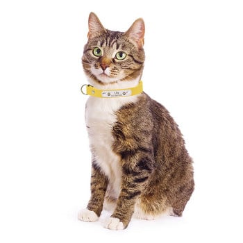 Персонализирана табелка с име Breakaway Cat Collar Персонализиран гравиран идентификатор ID Name Tag Котешка яка Колие Мека безопасност Коте Pet Котка Нашийник