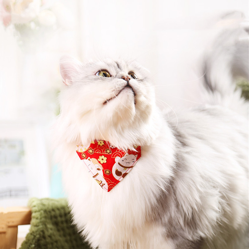 1 tk Kassi süljerätik Jaapani ja tuulekolmnurga rätik Kassi kaelarihm Väikese koera kassi ehted Kassi ja koera sall Koera kaelarihm Kassid Lemmikloom