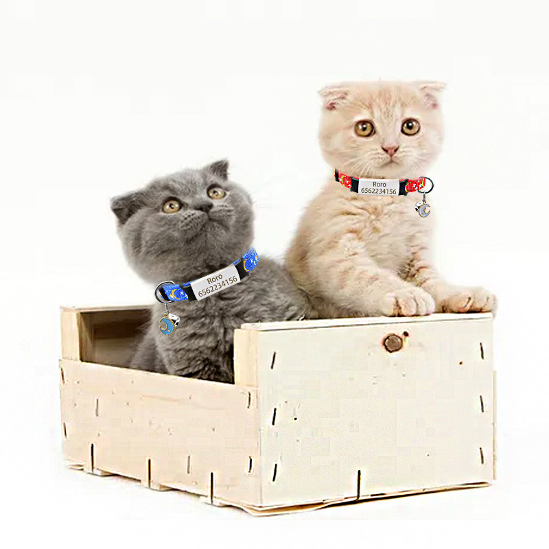 Kohandatud nimesilt kassi kaelarihm Isikupärastatud ID nimesilt Ohutus reguleeritav tähed Kuu kassi kaelarihma kaelakee Lemmiklooma kassipoega kassi kaelarihm