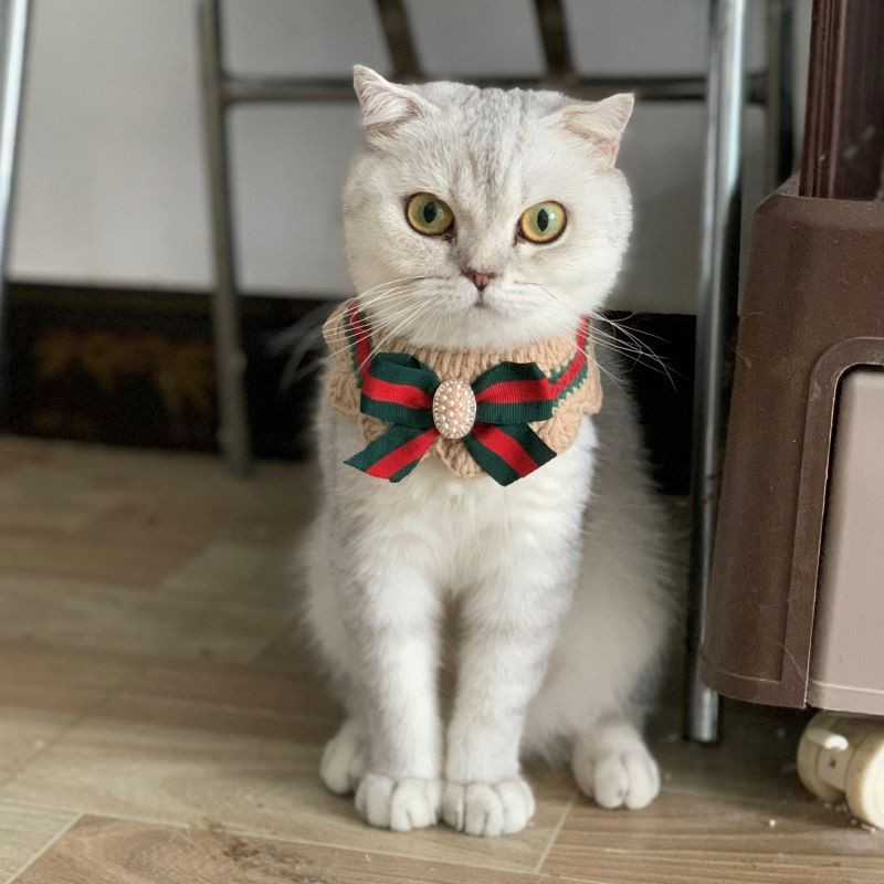 Κροσέ για σκύλος γάτα με παπιγιόν Χαριτωμένο πλεκτό κασκόλ Καρό μαλλί κατοικίδιων γιακά μπαντάνα με λουλουδάκι κολιέ για γάτα