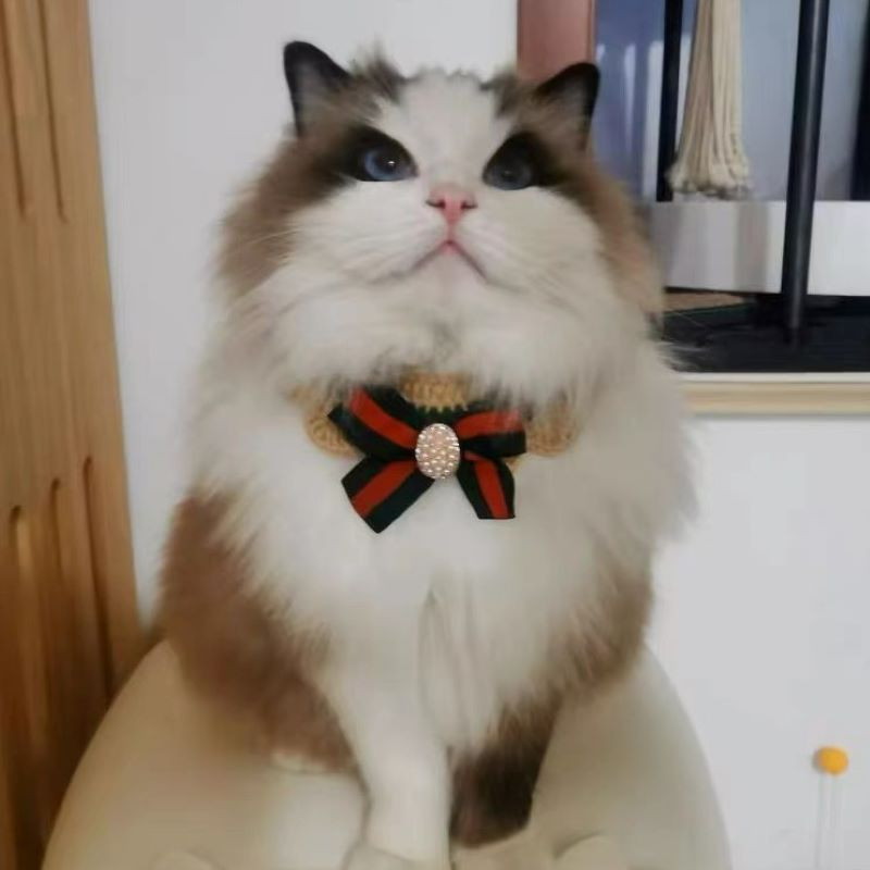 Κροσέ για σκύλος γάτα με παπιγιόν Χαριτωμένο πλεκτό κασκόλ Καρό μαλλί κατοικίδιων γιακά μπαντάνα με λουλουδάκι κολιέ για γάτα