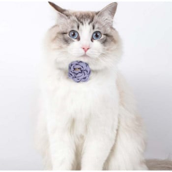 Ρυθμιζόμενο παπιγιόν με γιακά γάτας Γραβάτα με κουμπιά ασφαλείας γιακά για γάτα Κολιέ δώρου Αξεσουάρ για κουτάβια και κατοικίδια γάτας Γιακά για κουτάβι