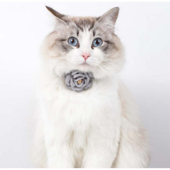 Ρυθμιζόμενο παπιγιόν με γιακά γάτας Γραβάτα με κουμπιά ασφαλείας γιακά για γάτα Κολιέ δώρου Αξεσουάρ για κουτάβια και κατοικίδια γάτας Γιακά για κουτάβι