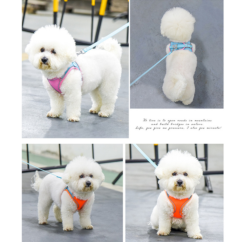 Σετ λουριών με λουρί για κουτάβια γάτας Μαλακό αναπνεύσιμο διχτυωτό γιλέκο γάτας με λουρί για σκύλους γάτας για γατάκι Chihuahua