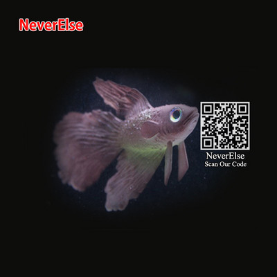 Akvaariumi tehislikud ujuvad kalad, fluorestseeruvad väikesed klounkalad/rumble-kala/kuldkala + iminapaga akvaariumi kaunistused