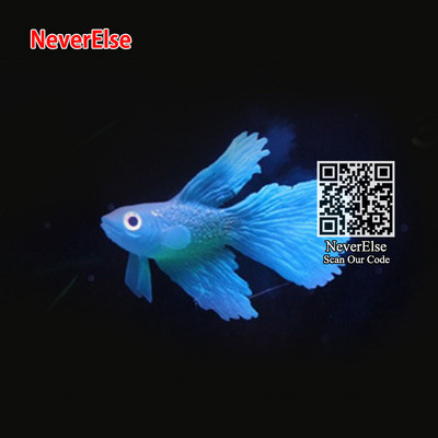 Akvaariumi tehislikud ujuvad kalad, fluorestseeruvad väikesed klounkalad/rumble-kala/kuldkala + iminapaga akvaariumi kaunistused