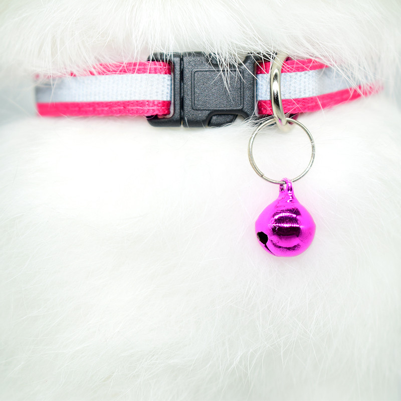 Kohandatud ID nimesilt Kassi kaelarihm kellakee ohutu helkur nailonist kassipoegade kaelarihm, isikupärastatud graveeritud nimesilt lemmiklooma kaelarihm