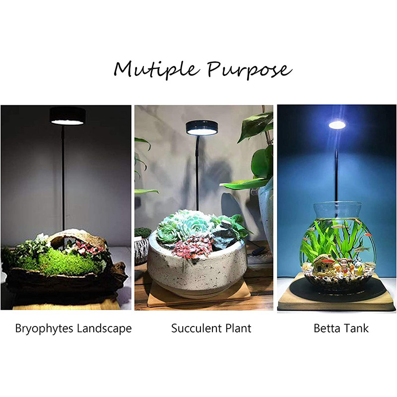 Lumină LED cu spectru complet cu placă de bambus se potrivește acvariului Nano Tank Betta Fish Tank Plante în ghiveci Peisaj miniatural suculent