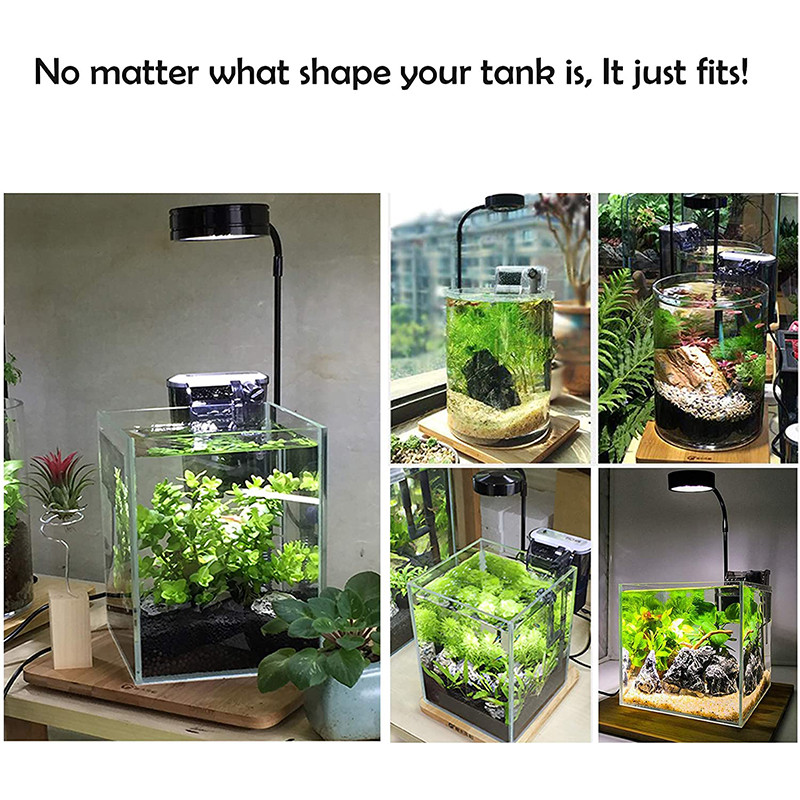 Lumină LED cu spectru complet cu placă de bambus se potrivește acvariului Nano Tank Betta Fish Tank Plante în ghiveci Peisaj miniatural suculent