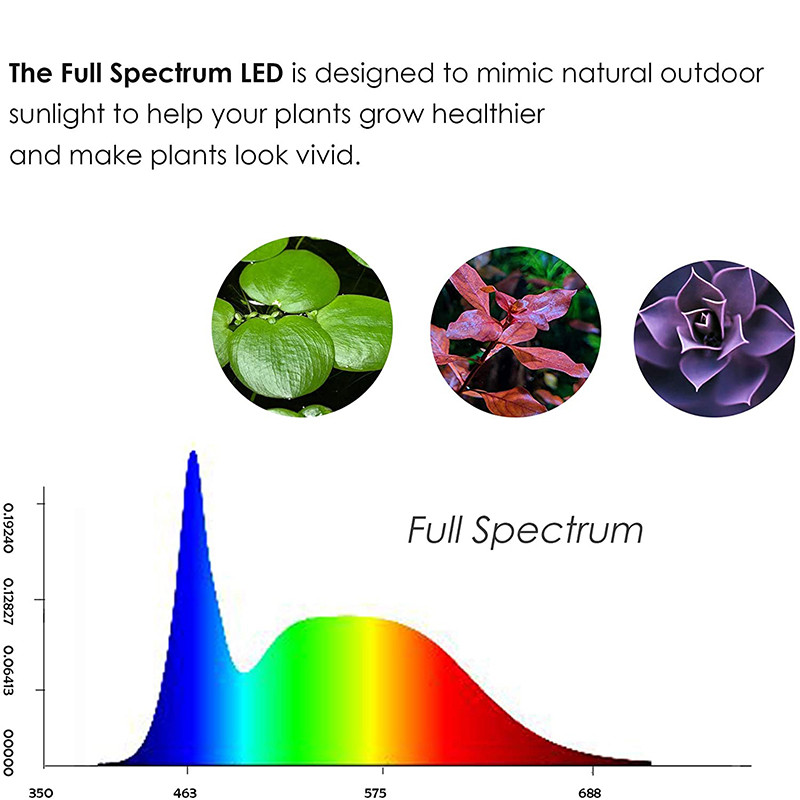 Lumină LED cu spectru complet cu placă de bambus se potrivește acvariului Nano Tank Betta Fish Tank Plante în ghiveci Peisaj miniatural suculent