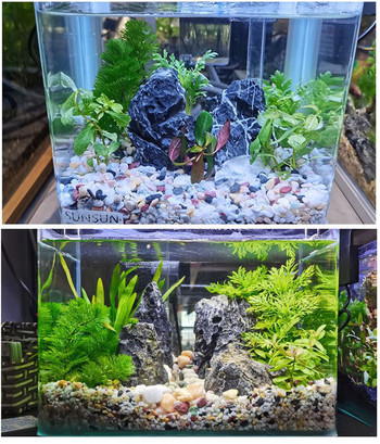 50g 100g Естествен фон за декорация на аквариум от камък за аквариум Цветен кристален камък Чакъл Аксесоари за декорация на домашна градина 7-9 мм