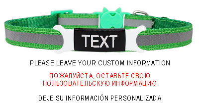 Guler reflectorizant pentru pisici, cataramă de siguranță gravată, colier ajustabil pentru animale de companie, personalizat, personalizat, gravare gratuită, nailon, cățeluș, pisicuțe