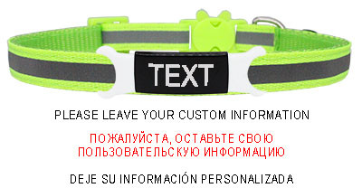 Guler reflectorizant pentru pisici, cataramă de siguranță gravată, colier ajustabil pentru animale de companie, personalizat, personalizat, gravare gratuită, nailon, cățeluș, pisicuțe