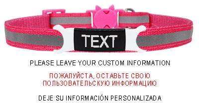 Guler reflectorizant pentru pisici, cataramă de siguranță gravată, colier ajustabil pentru animale de companie, personalizat, personalizat, gravare gratuită, nailon, cățeluș, pisicuțe
