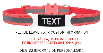 Guler reflectorizant pentru pisici, cataramă de siguranță gravată, colier ajustabil pentru animale de companie, personalizat, personalizat, gravare gratuită, nailon, cățeluș, pisicuțe