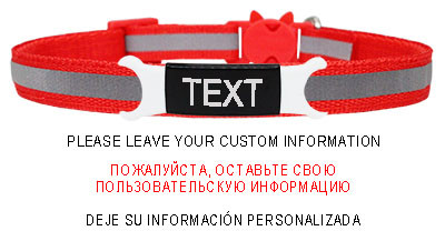 Guler reflectorizant pentru pisici, cataramă de siguranță gravată, colier ajustabil pentru animale de companie, personalizat, personalizat, gravare gratuită, nailon, cățeluș, pisicuțe