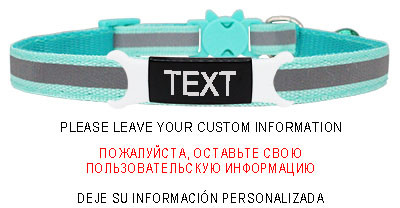 Guler reflectorizant pentru pisici, cataramă de siguranță gravată, colier ajustabil pentru animale de companie, personalizat, personalizat, gravare gratuită, nailon, cățeluș, pisicuțe