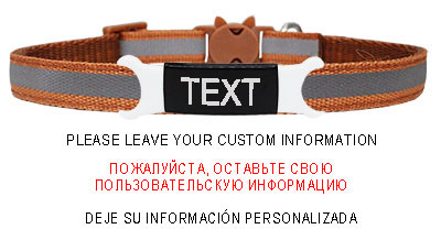 Guler reflectorizant pentru pisici, cataramă de siguranță gravată, colier ajustabil pentru animale de companie, personalizat, personalizat, gravare gratuită, nailon, cățeluș, pisicuțe
