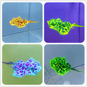 Luminos, strălucitor, diavol artificial, pește auriu, meduză, anemone, rezervor de pește, decorare pentru acvariu, submarin, ornament subacvatic