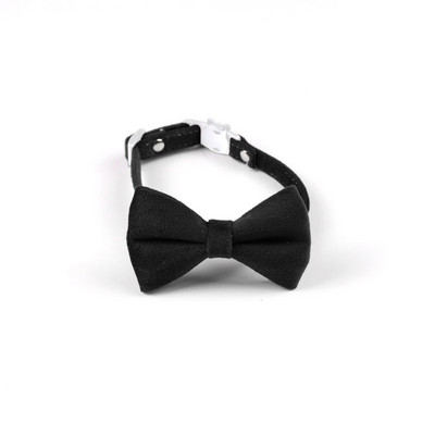 Βελούδινο κολάρο γάτας Αξεσουάρ αποσύνδεσης Πόρπη ασφαλείας Ρυθμιζόμενη κολιέ για κουτάβι Τσιουάουα Χαριτωμένα κατοικίδια με παπιγιόν γατάκι με παπιγιόν