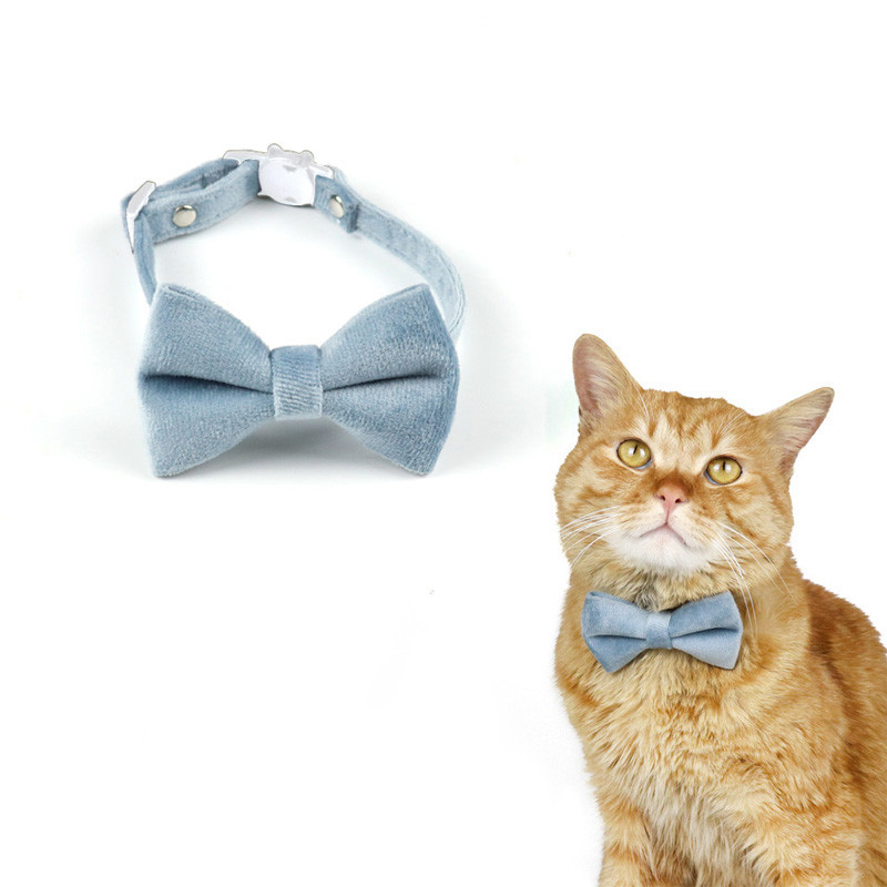Βελούδινο κολάρο γάτας Αξεσουάρ αποσύνδεσης Πόρπη ασφαλείας Ρυθμιζόμενη κολιέ για κουτάβι Τσιουάουα Χαριτωμένα κατοικίδια με παπιγιόν γατάκι με παπιγιόν
