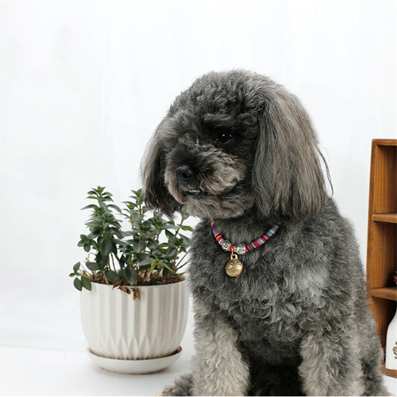 Podesiva ogrlica za kućne ljubimce Ogrlice za mačke i povoci Proizvodi za mačke Starinski povodac za ogrlicu za pse s zvonastom kopčom Dodaci