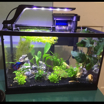 ER015 Бели и сини растения растат Водни сладководни лампи Водоустойчива разтегателна щипка на LED светлина за аквариумни рибки