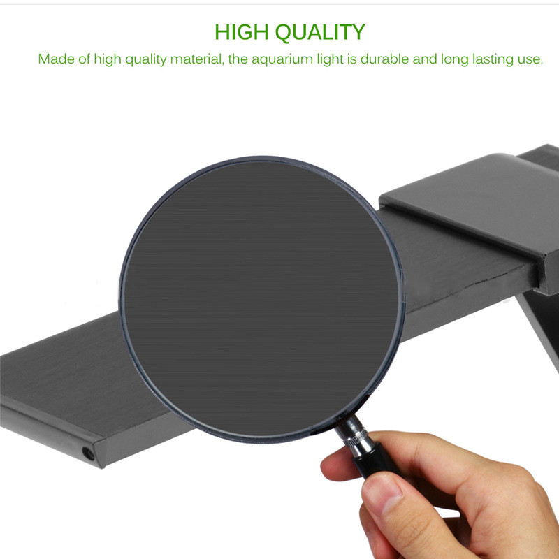 ER015 Plantele albe și albastre cresc lămpi acvatice cu apă dulce