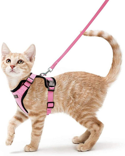 Λουρί και λουρί γάτας για διαφυγή περπατήματος Μαλακές ρυθμιζόμενες λουρίδες γιλέκου για εύκολη αναπνοή ανακλαστική ζώνη για γάτα