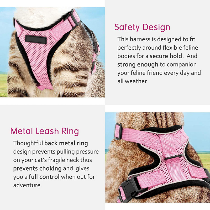 Kassi rakmed ja jalutusrihm kõndimiseks põgenemiskindlad pehmed reguleeritavad vestirakmed Cat Easy Controli jaoks hingavad helkurrihmad