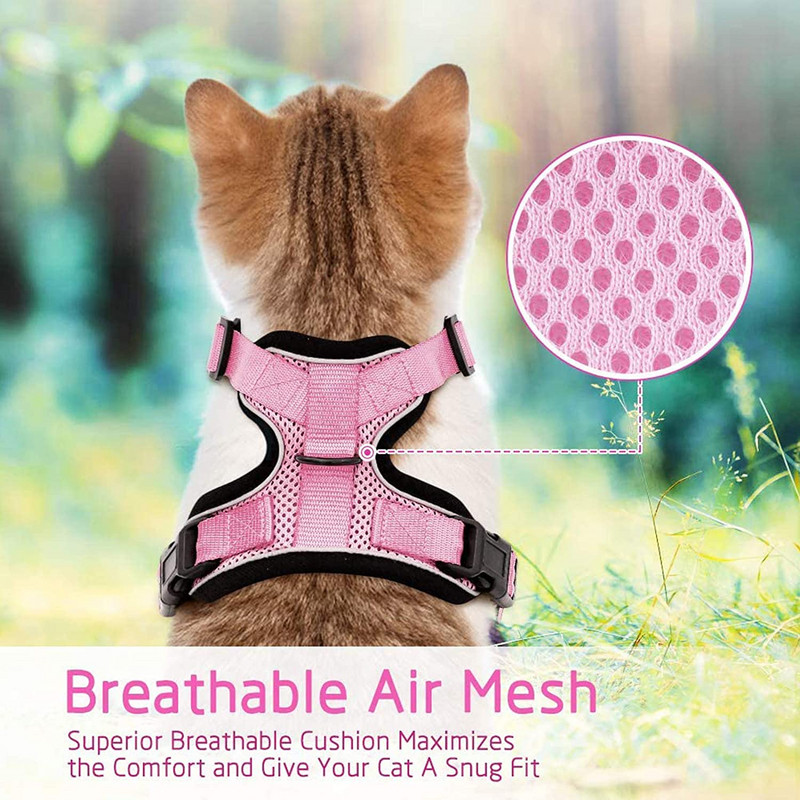 Kassi rakmed ja jalutusrihm kõndimiseks põgenemiskindlad pehmed reguleeritavad vestirakmed Cat Easy Controli jaoks hingavad helkurrihmad