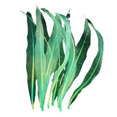 Ornament decorativ de alge marine moale din silicon din varec ornament cu efect strălucitor pentru acvariu decor peisagistic pentru acvariu