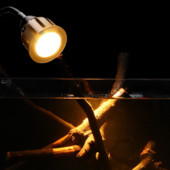 FishTankSpotlight akvaariumi klamber akvaariumi valgus akvaariumi merepaak Lõuna-Ameerika paagi prožektor LED valgus öövalgusnupp