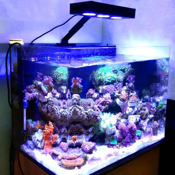 Γνήσιος φωτισμός Spectra Aquarium Light 30W θαλασσινού νερού με ρυθμιστή για δεξαμενή ψαριών Coral Reef US βύσμα ΕΕ