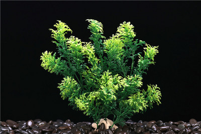 Fish Tank Simulation Aquatic Plants Σετ Ενυδρείου Διακόσμηση Πλαστικά φυτικά στολίδια Underwater World Landscape Aquarium Supplies