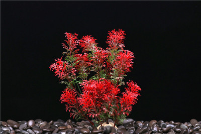 Fish Tank Simulation Aquatic Plants Σετ Ενυδρείου Διακόσμηση Πλαστικά φυτικά στολίδια Underwater World Landscape Aquarium Supplies